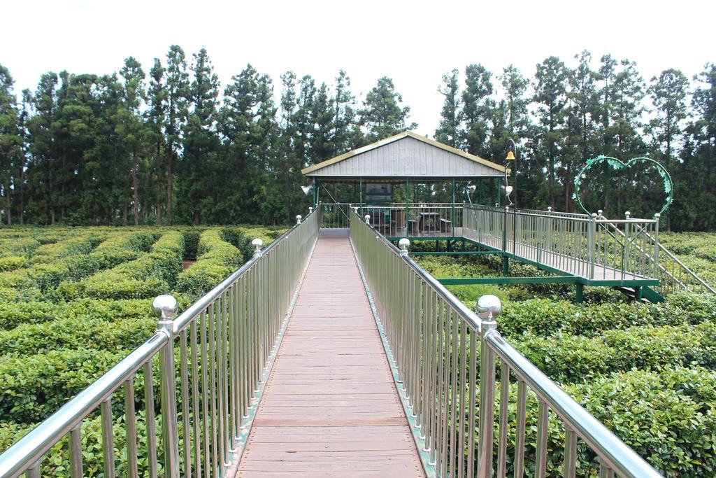 The Seri Resort Seogwipo Værelse billede